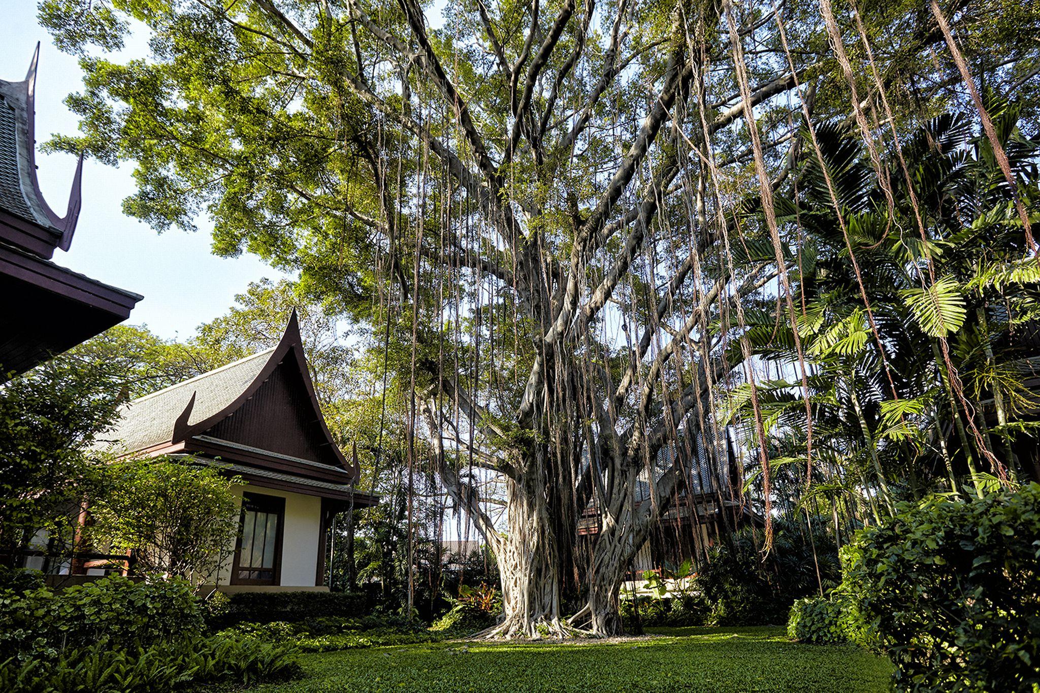 Chiva-Som International Health Resorts Huahin Kültér fotó